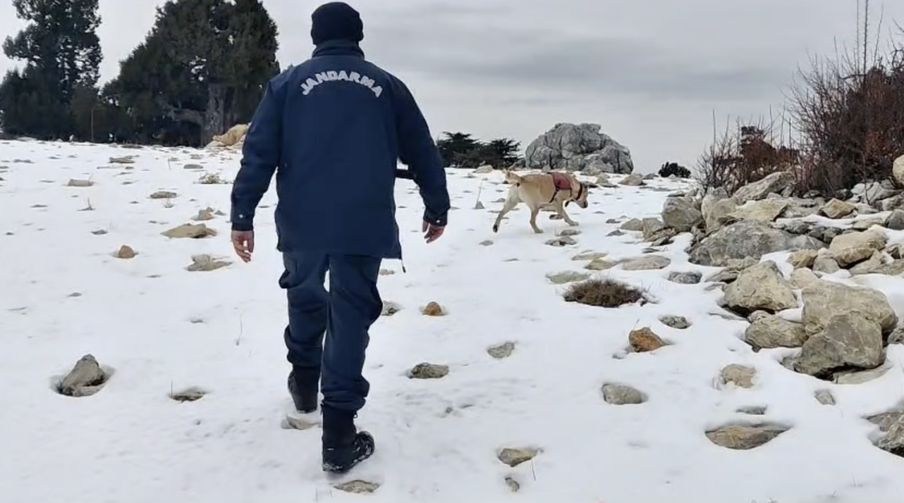 Muğla’da Suçlulara Geçit Yok: 378 Şahıs Yakalandı, 115’i Tutuklandı 5